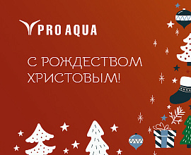 С Рождеством Христовым!  для систем водоснабжения PRO AQUA